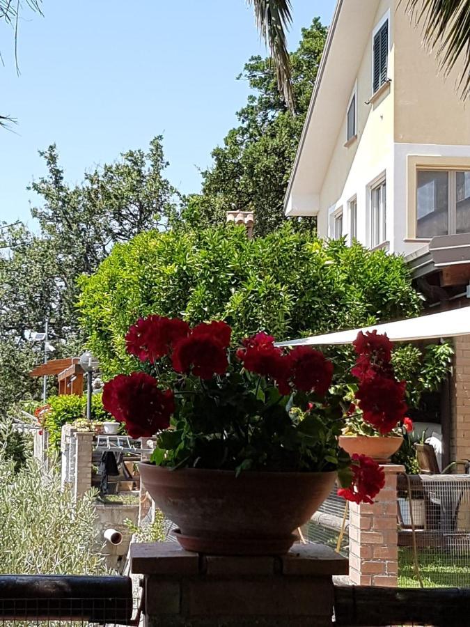 B&B L'Eucalipto Paola Exterior photo